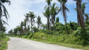 REPAIR / IMPROVEMENT OF WATER SYSTEM FOR 6 BARANGAY